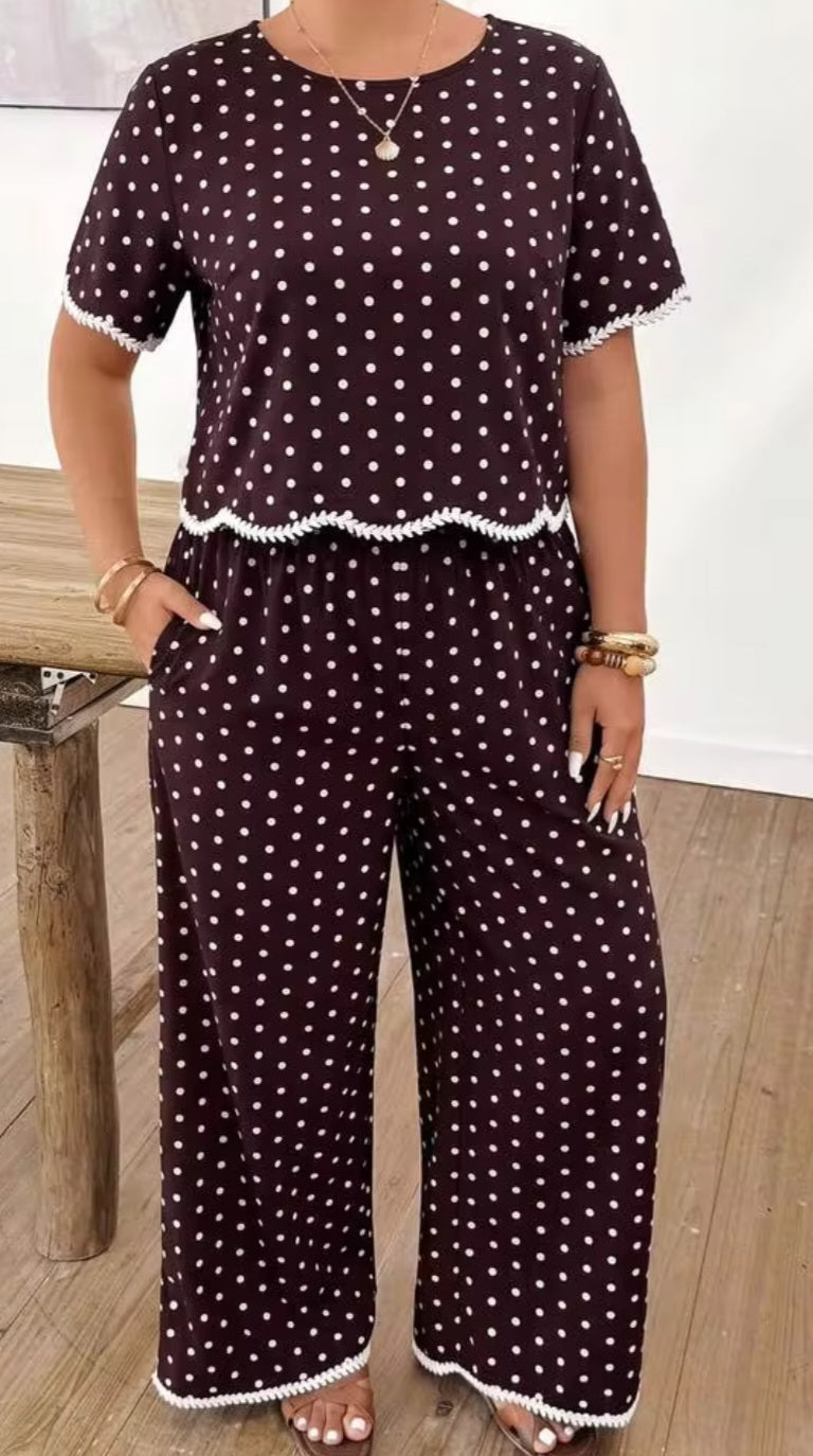 Chocolate Brown Contrast Piping Blouse & Pants Set